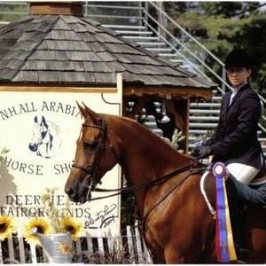 Meet your Posher, Rachel